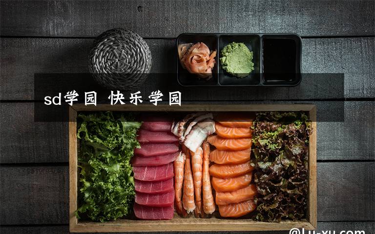 sd学园 快乐学园