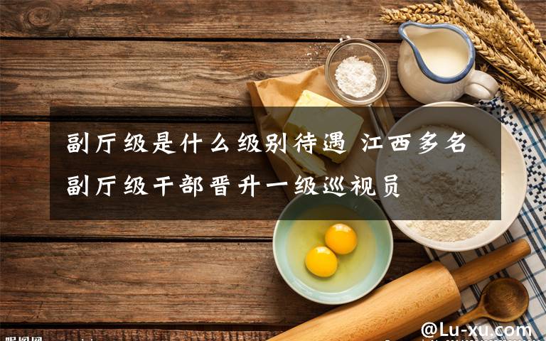 副厅级是什么级别待遇 江西多名副厅级干部晋升一级巡视员
