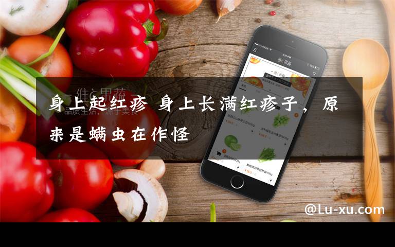 身上起红疹 身上长满红疹子,原来是螨虫在作怪