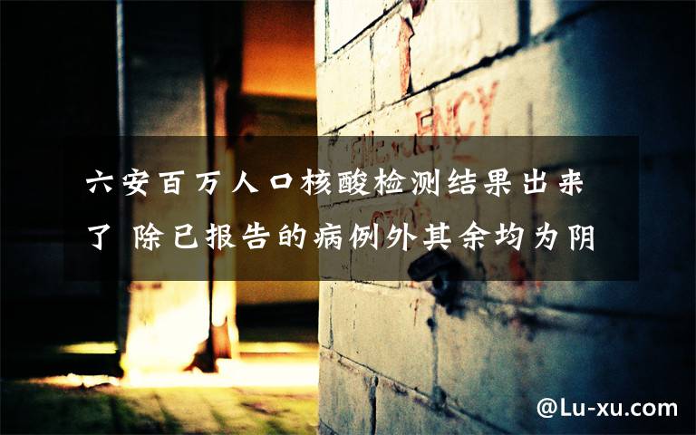 六安百万人口核酸检测结果出来了 除已报告的病例外其余均为阴性 真相原来是这样！
