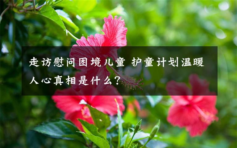 走访慰问困境儿童 护童计划温暖人心真相是什么?