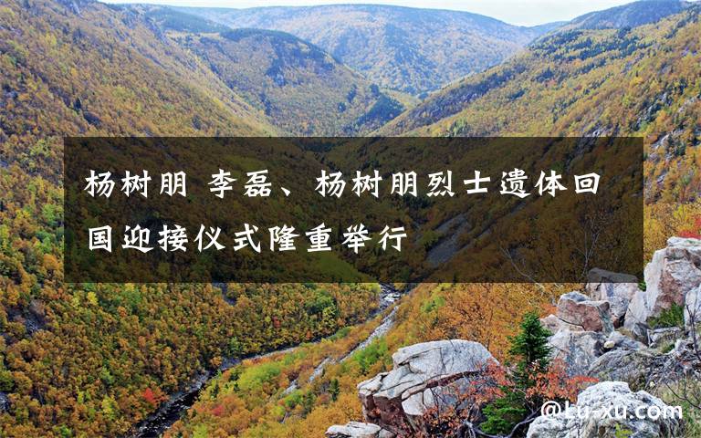 杨树朋 李磊、杨树朋烈士遗体回国迎接仪式隆重举行