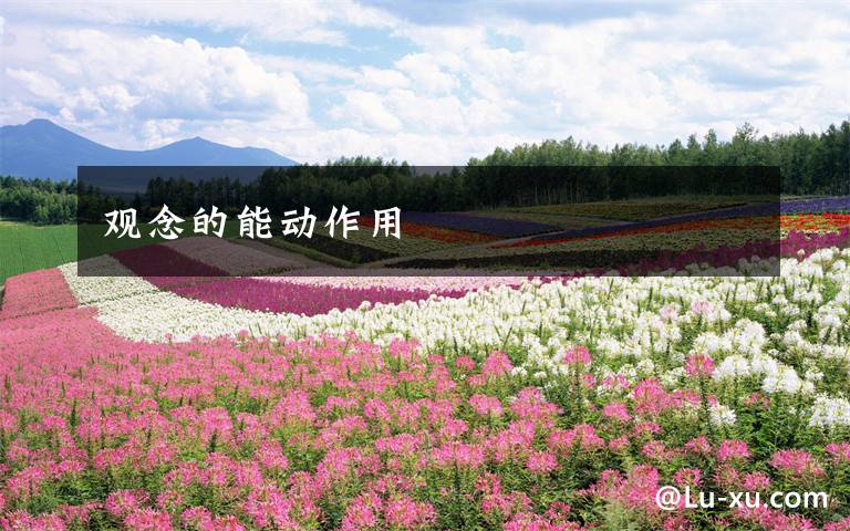 观念的能动作用