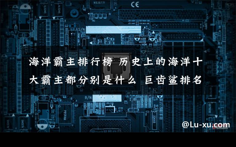 海洋霸主排行榜 历史上的海洋十大霸主都分别是什么 巨齿鲨排名第一