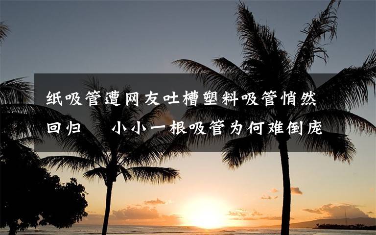 纸吸管遭网友吐槽塑料吸管悄然回归  小小一根吸管为何难倒庞大的茶饮行业? 到底什么情况呢?