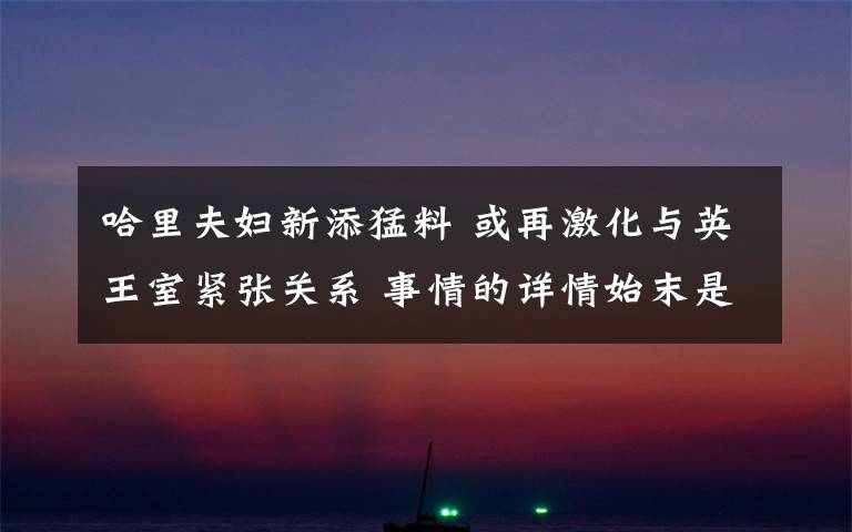 哈里夫妇新添猛料 或再激化与英王室紧张关系 事情的详情始末是怎么样了!