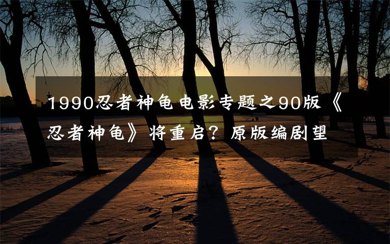 1990忍者神龟电影专题之90版《忍者神龟》将重启?原版编剧望撰写续篇