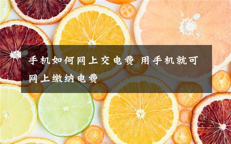 手机如何网上交电费 用手机就可网上缴纳电费
