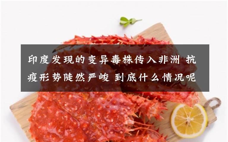 印度发现的变异毒株传入非洲 抗疫形势陡然严峻 到底什么情况呢?