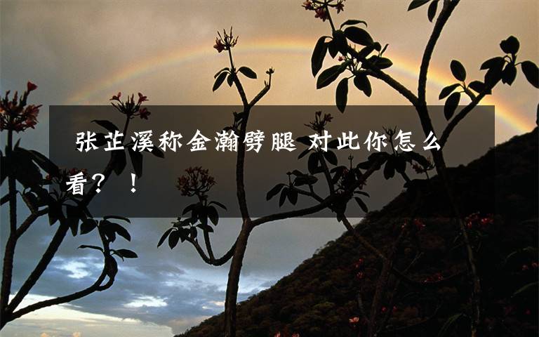 张芷溪称金瀚劈腿 对此你怎么看?!