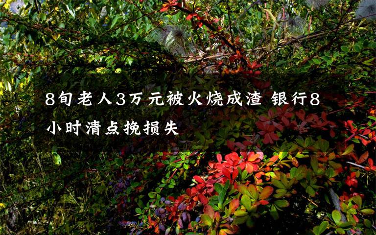 8旬老人3万元被火烧成渣 银行8小时清点挽损失