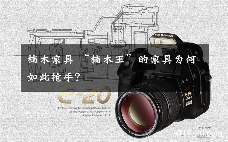 楠木家具 “楠木王”的家具为何如此抢手?