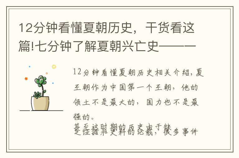 12分钟看懂夏朝历史,干货看这篇!七分钟了解夏朝兴亡史——一个不被国际承认的朝代