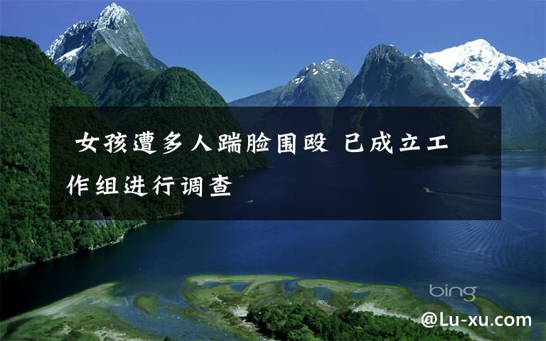 女孩遭多人踹脸围殴 已成立工作组进行调查