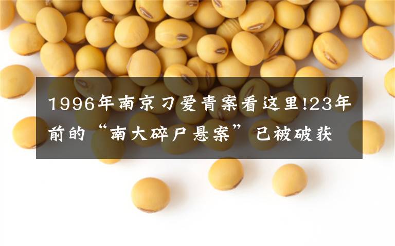 1996年南京刁爱青案看这里!23年前的“南大碎尸悬案”已被破获?警方回应
