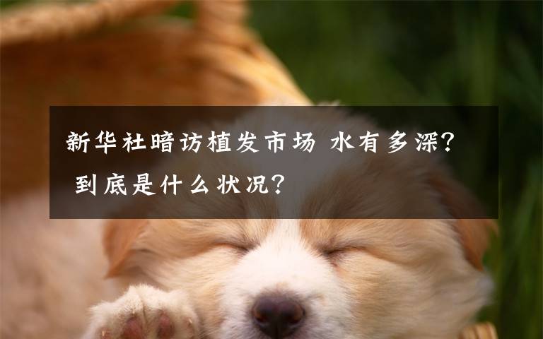 新华社暗访植发市场 水有多深? 到底是什么状况?