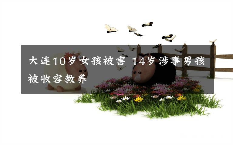 大连10岁女孩被害 14岁涉事男孩被收容教养