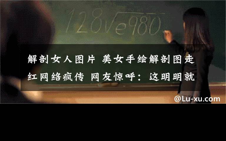 解剖女人图片 美女手绘解剖图走红网络疯传 网友惊呼:这明明就是印刷出来的!