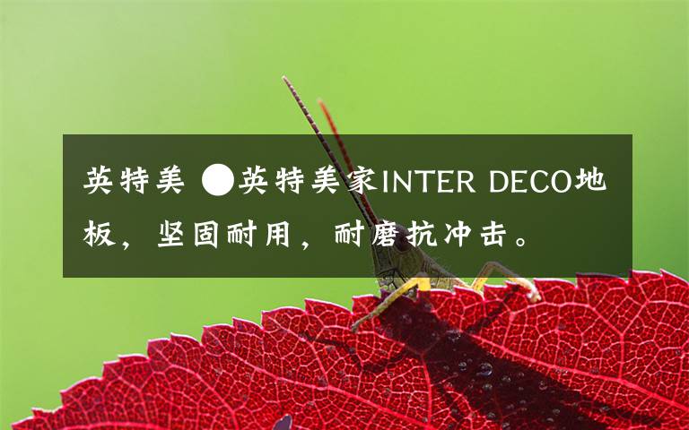 英特美 ●英特美家INTER DECO地板,坚固耐用,耐磨抗冲击。