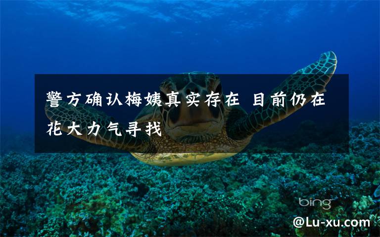 警方确认梅姨真实存在 目前仍在花大力气寻找