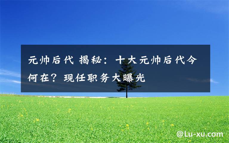 元帅后代 揭秘:十大元帅后代今何在?现任职务大曝光