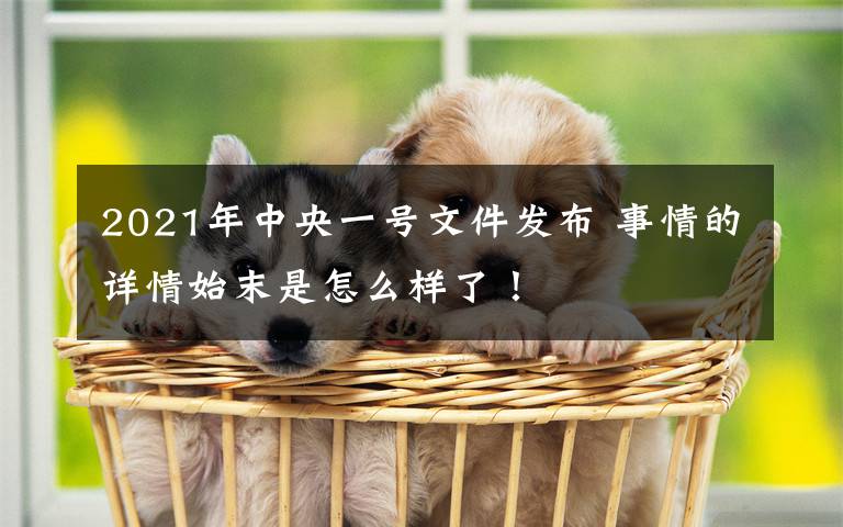 2021年中央一号文件发布 事情的详情始末是怎么样了!