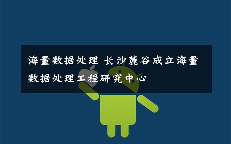海量数据处理 长沙麓谷成立海量数据处理工程研究中心