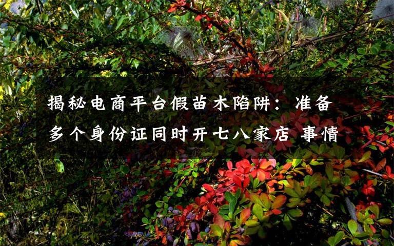 揭秘电商平台假苗木陷阱:准备多个身份证同时开七八家店 事情的详情始末是怎么样了!