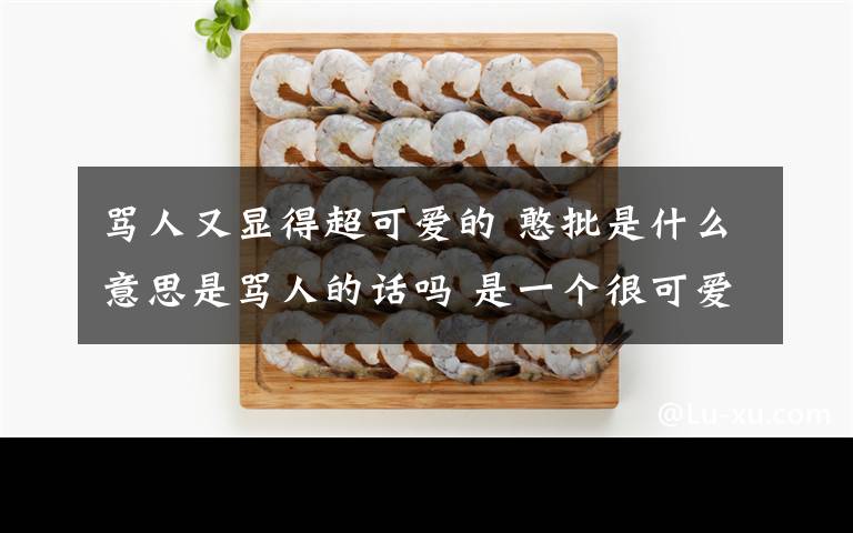 骂人又显得超可爱的 憨批是什么意思是骂人的话吗 是一个很可爱的小乌龟