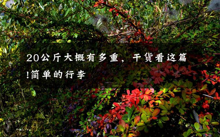 20公斤大概有多重,干货看这篇!简单的行李