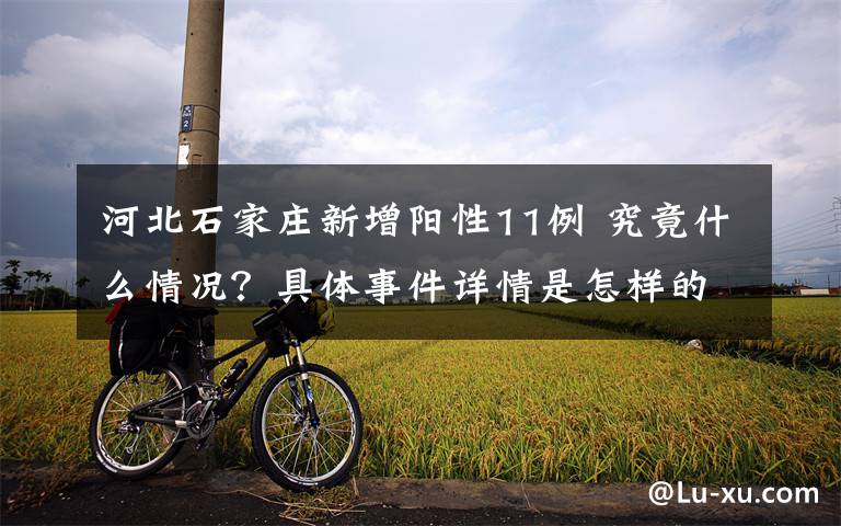 河北石家庄新增阳性11例 究竟什么情况?具体事件详情是怎样的?