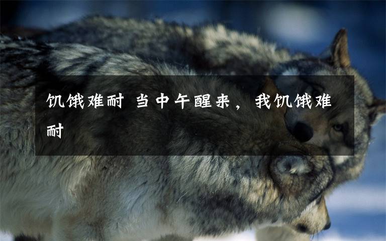 饥饿难耐 当中午醒来,我饥饿难耐