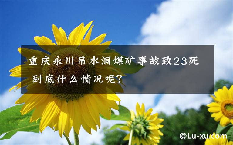 重庆永川吊水洞煤矿事故致23死 到底什么情况呢?