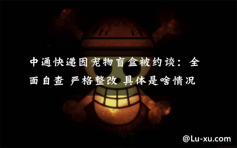 中通快递因宠物盲盒被约谈:全面自查 严格整改 具体是啥情况?