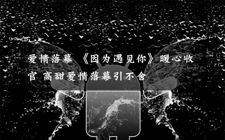 爱情落幕 《因为遇见你》暖心收官 高甜爱情落幕引不舍