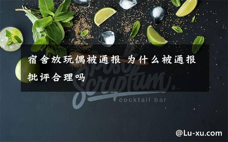 宿舍放玩偶被通报 为什么被通报批评合理吗