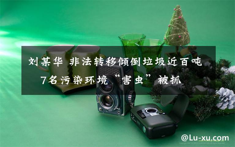 刘某华 非法转移倾倒垃圾近百吨 7名污染环境“害虫”被抓