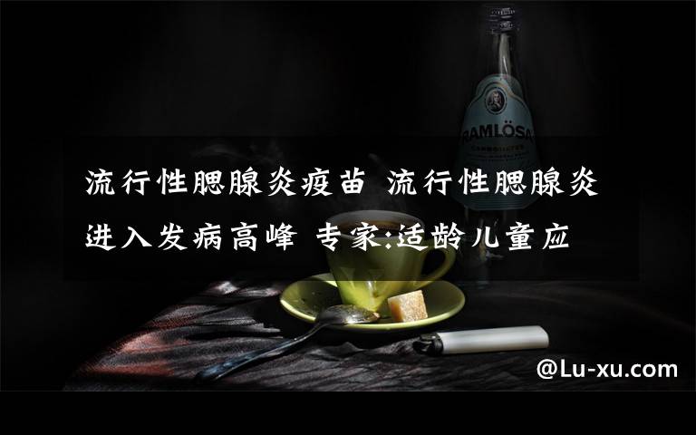 流行性腮腺炎疫苗 流行性腮腺炎进入发病高峰 专家:适龄儿童应及时接种疫苗