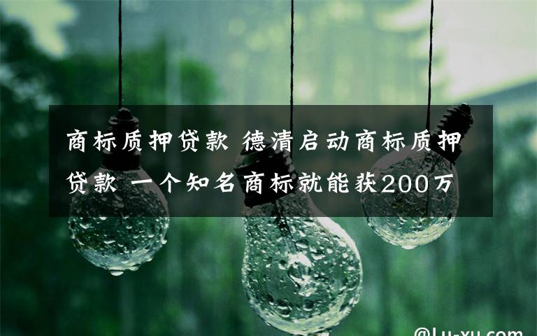 商标质押贷款 德清启动商标质押贷款 一个知名商标就能获200万贷款