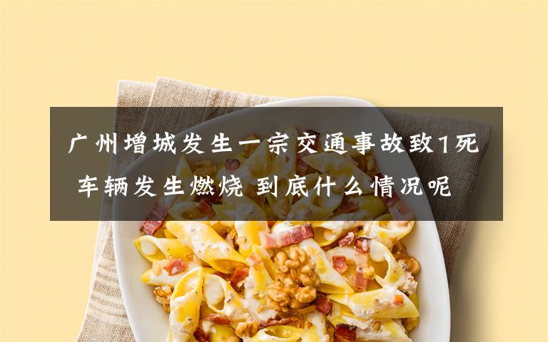 广州增城发生一宗交通事故致1死 车辆发生燃烧 到底什么情况呢？