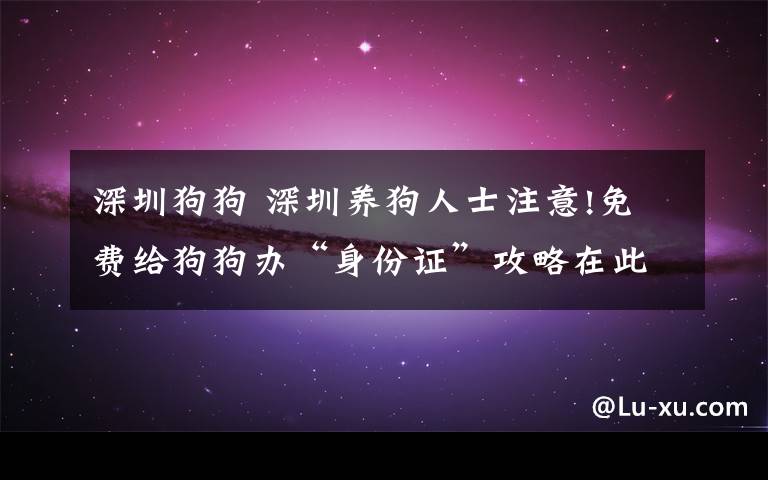 深圳狗狗 深圳养狗人士注意!免费给狗狗办“身份证”攻略在此