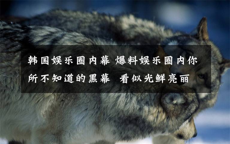 韩国娱乐圈内幕 爆料娱乐圈内你所不知道的黑幕  看似光鲜亮丽实则黑暗无比