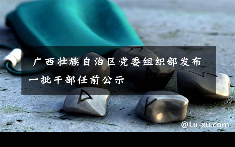  广西壮族自治区党委组织部发布一批干部任前公示