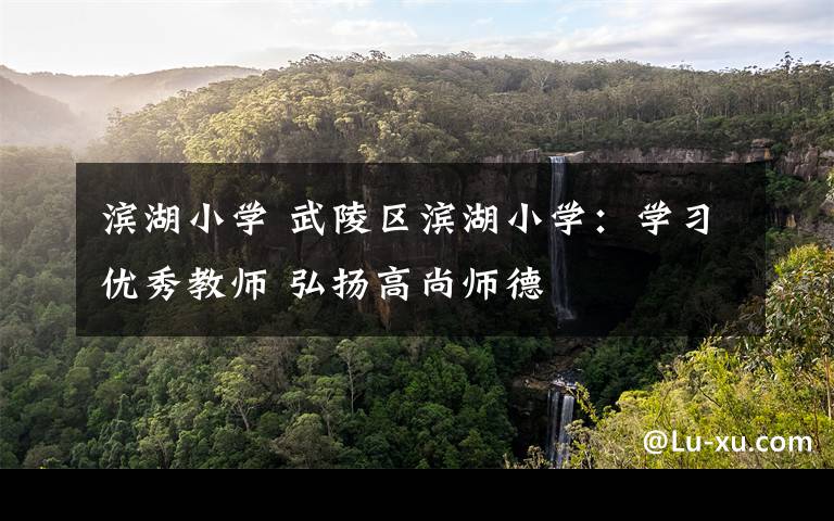 滨湖小学 武陵区滨湖小学:学习优秀教师 弘扬高尚师德