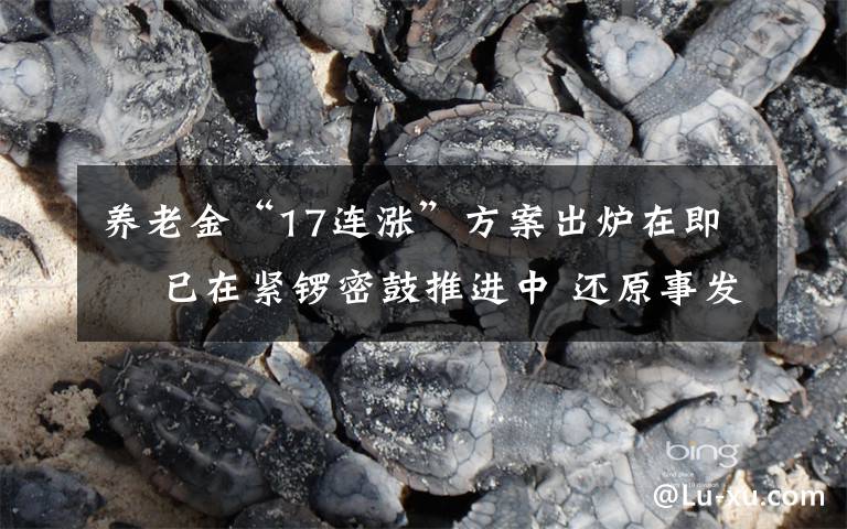 养老金“17连涨”方案出炉在即  已在紧锣密鼓推进中 还原事发经过及背后原因!