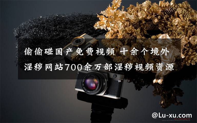 偷偷碰国产免费视频 十余个境外淫秽网站700余万部淫秽视频资源