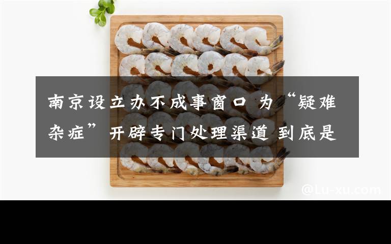 南京设立办不成事窗口 为“疑难杂症”开辟专门处理渠道 到底是什么状况?