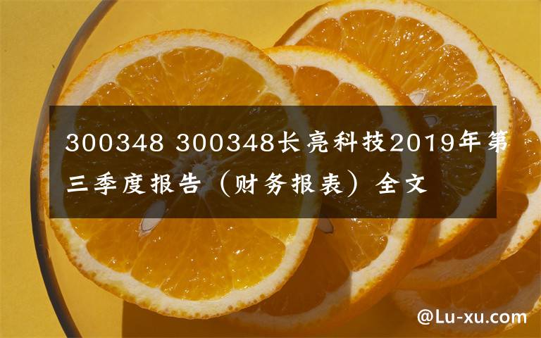300348 300348长亮科技2019年第三季度报告（财务报表）全文