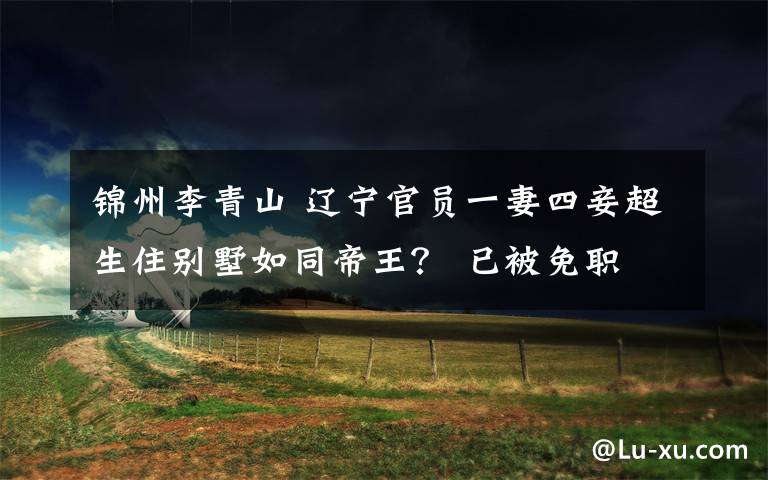 锦州李青山 辽宁官员一妻四妾超生住别墅如同帝王? 已被免职