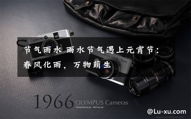 节气雨水 雨水节气遇上元宵节:春风化雨,万物萌生